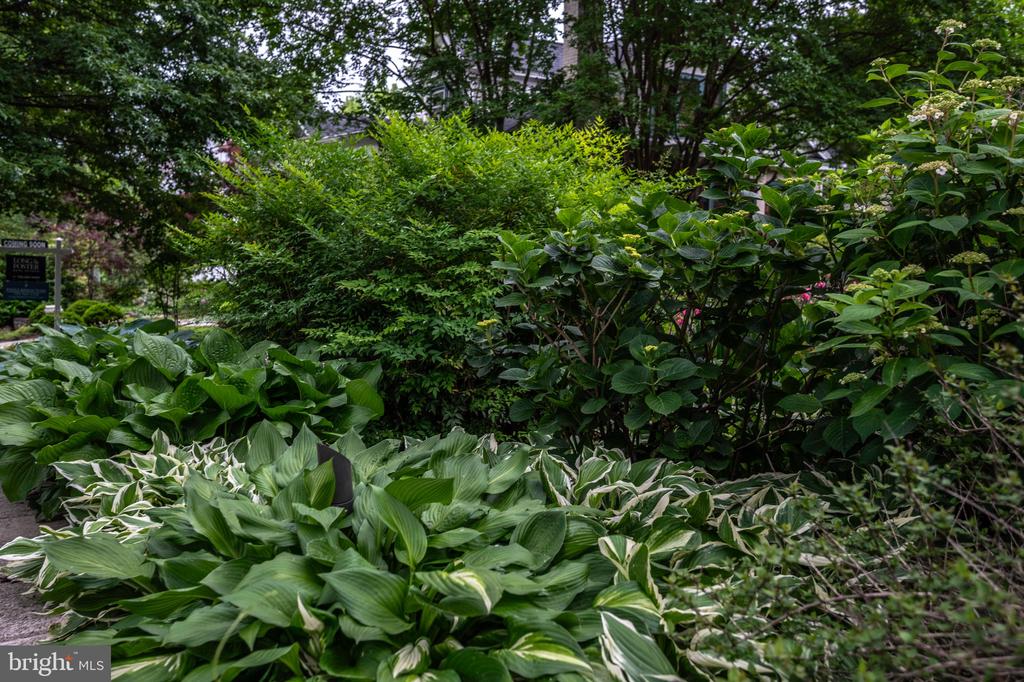 120 W MAPLE STREET