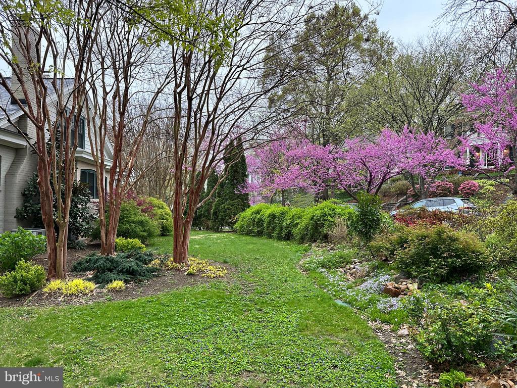 120 W MAPLE STREET