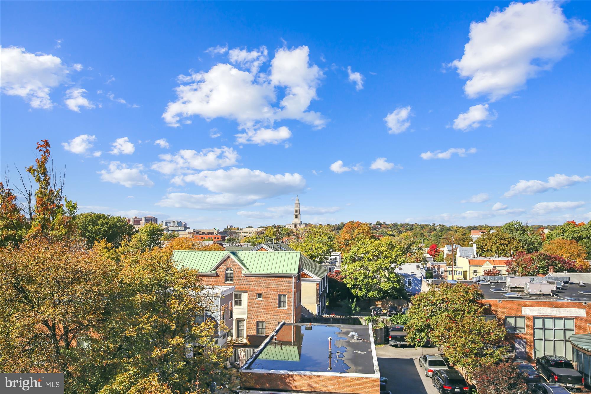 1115 CAMERON STREET 205
