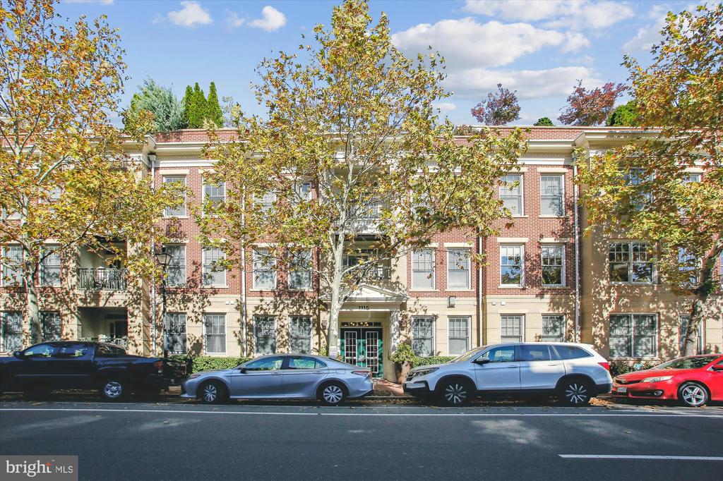 1115 CAMERON STREET 205