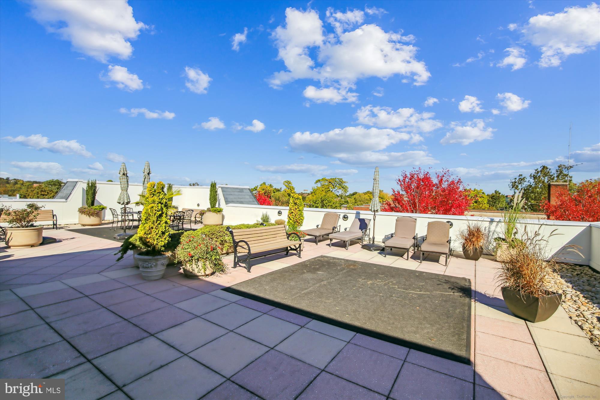 1115 CAMERON STREET 205