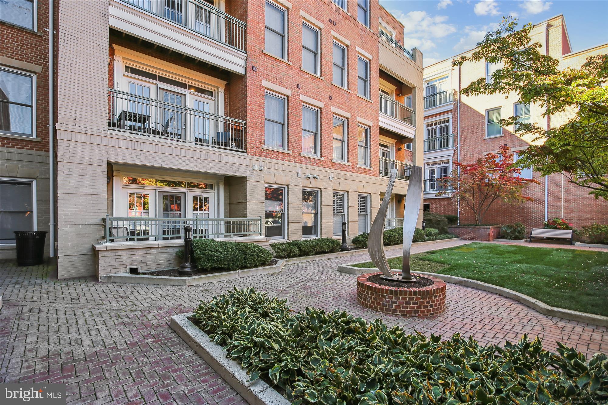1115 CAMERON STREET 205