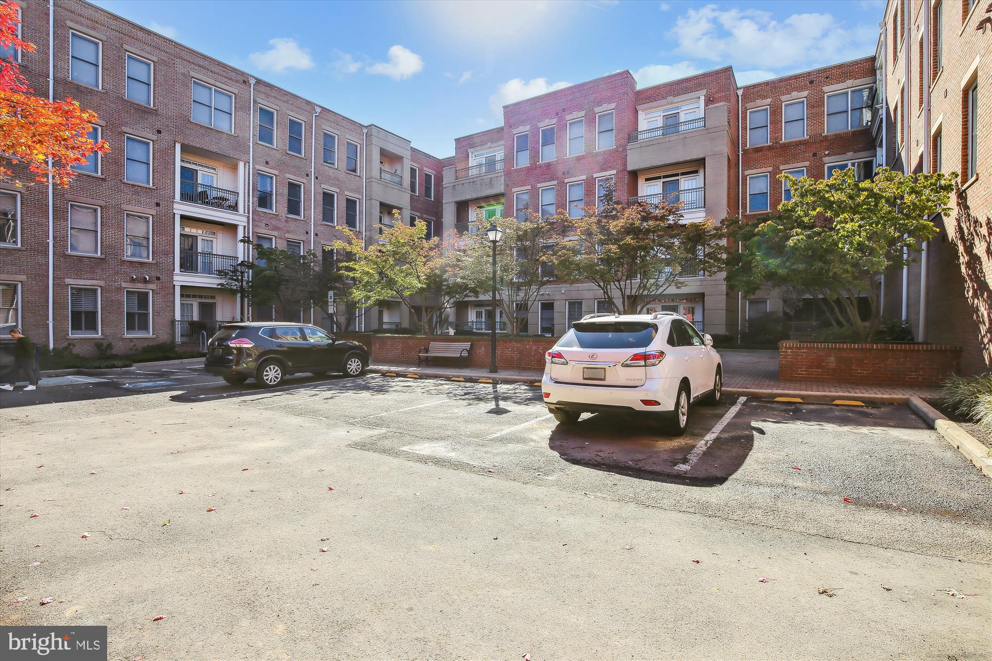 1115 CAMERON STREET 205