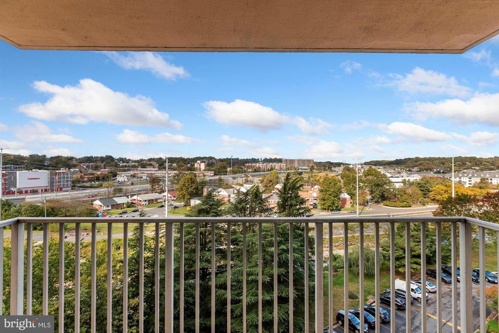 1225 MARTHA CUSTIS DRIVE 807