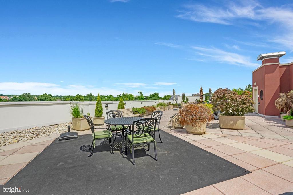 1115 CAMERON Unit: 212