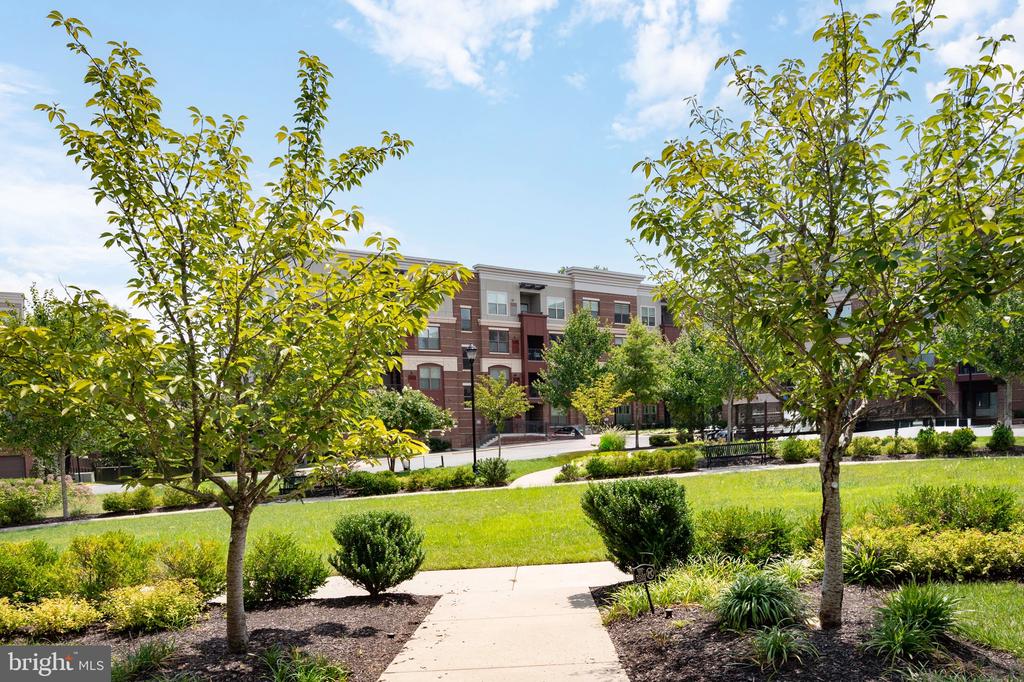 3985 NORTON PLACE 208