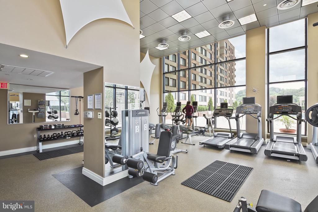 2451 MIDTOWN AVENUE 1619