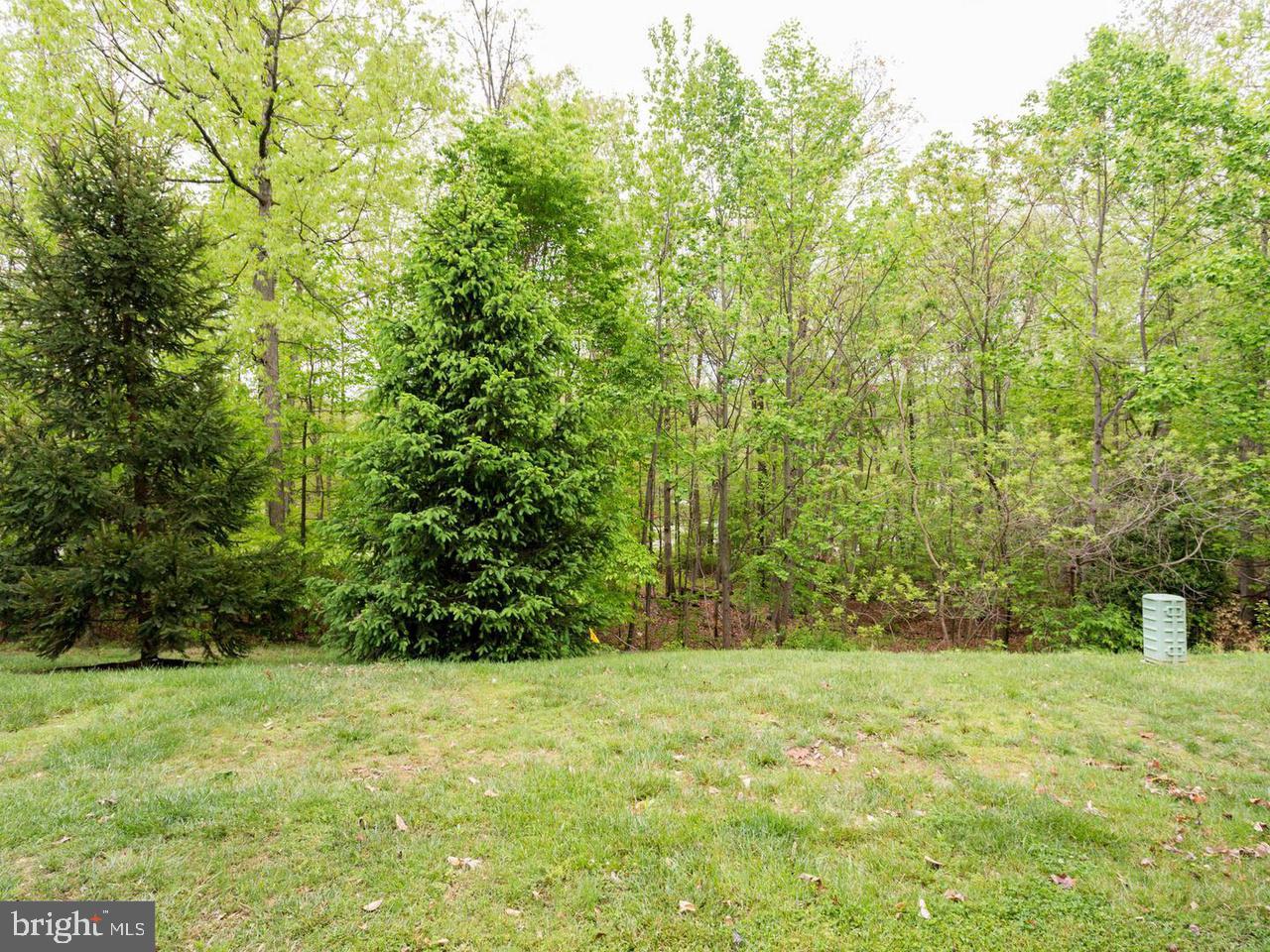 6331 BURGUNDY LEAF LANE
