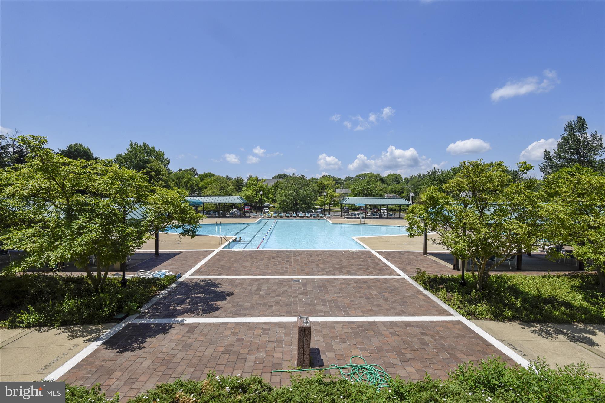 5505 Seminary Rd #707n