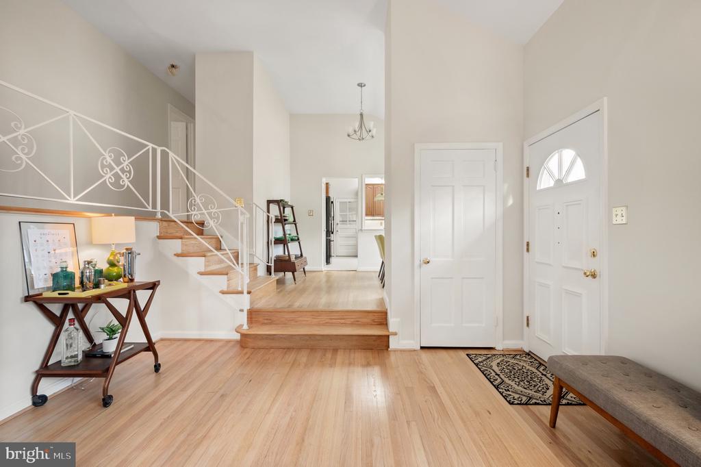 9232 FOREST HAVEN DRIVE