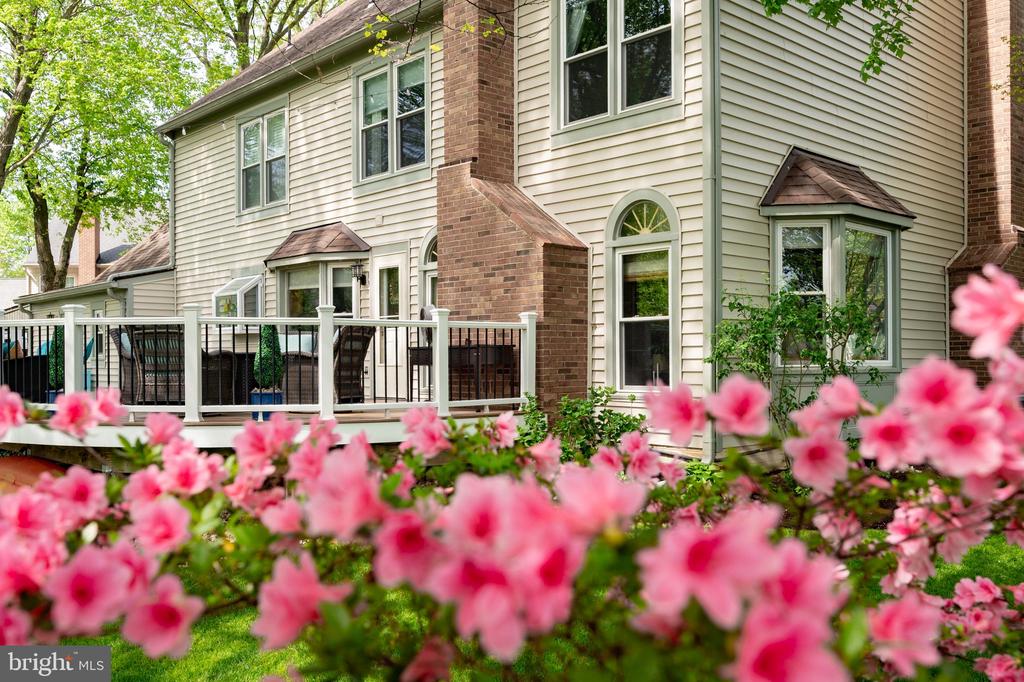 7228 DEVEREUX COURT