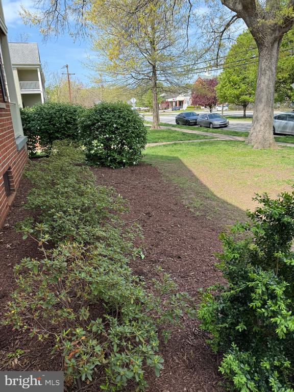 1403 BELLE VIEW BOULEVARD B-1