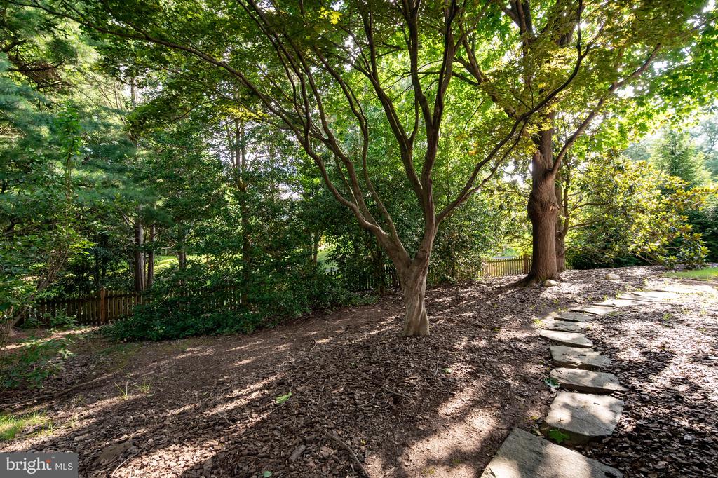 13405 VIRGINIA WILLOW DRIVE