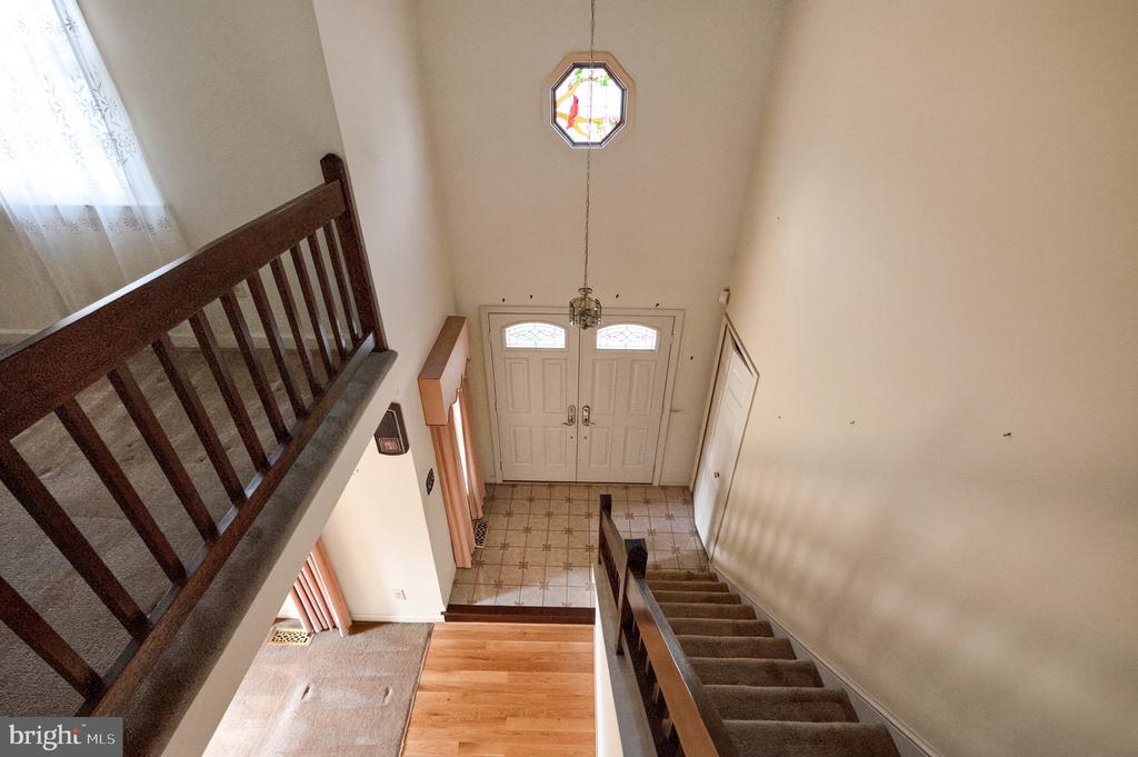 13405 VIRGINIA WILLOW DRIVE