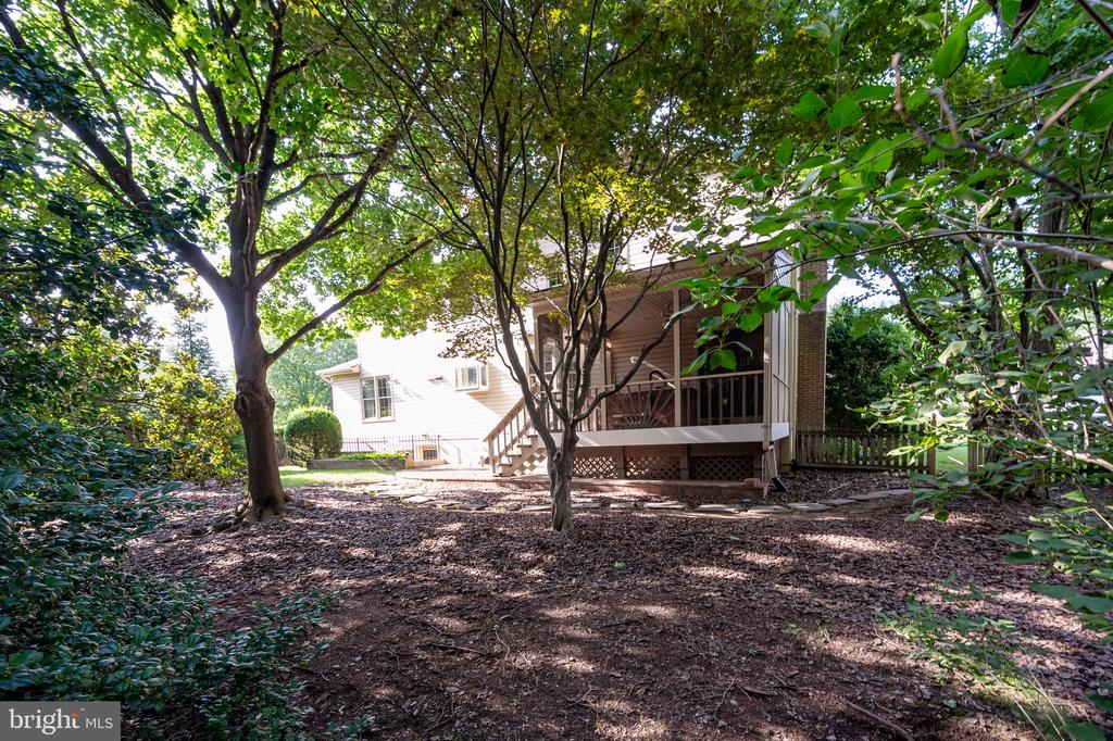 13405 VIRGINIA WILLOW DRIVE