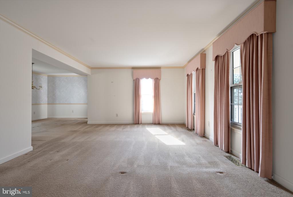 13405 VIRGINIA WILLOW DRIVE