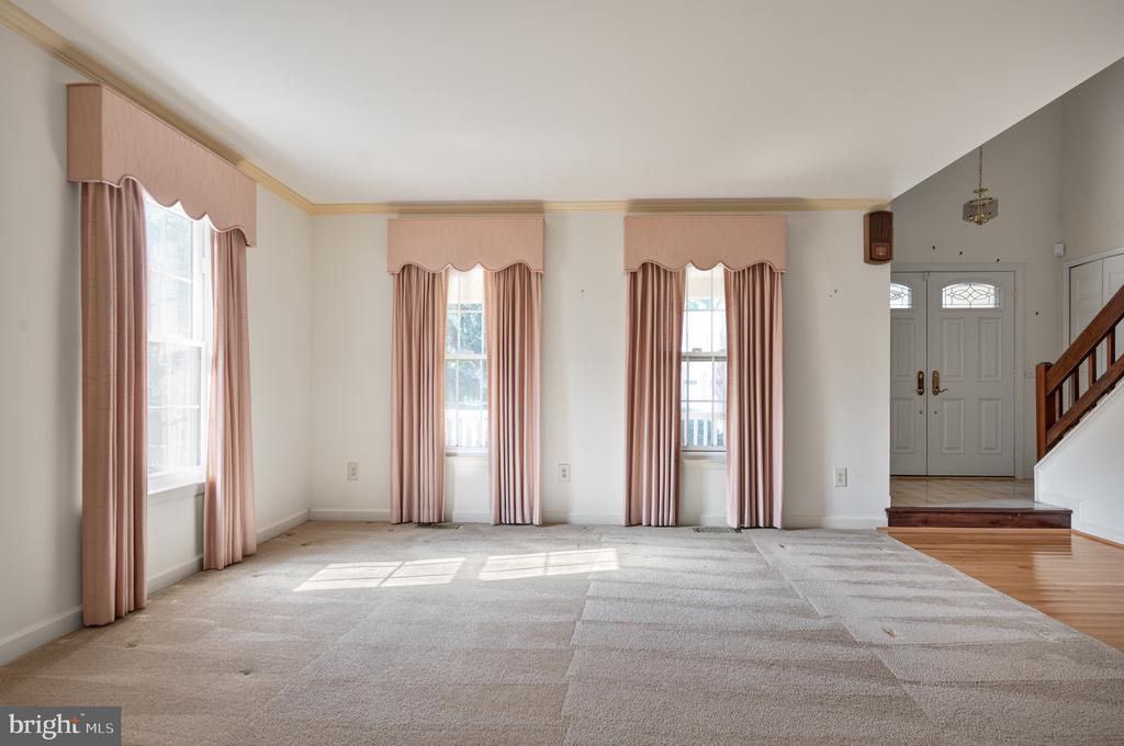 13405 VIRGINIA WILLOW DRIVE