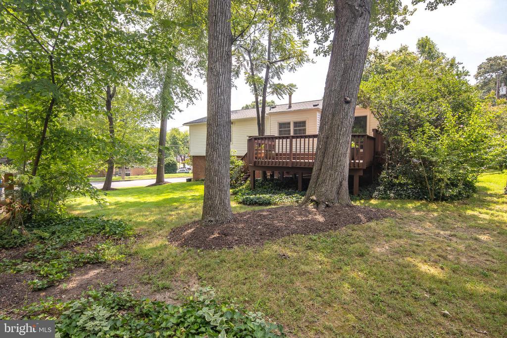 3017 BATTERSEA LANE