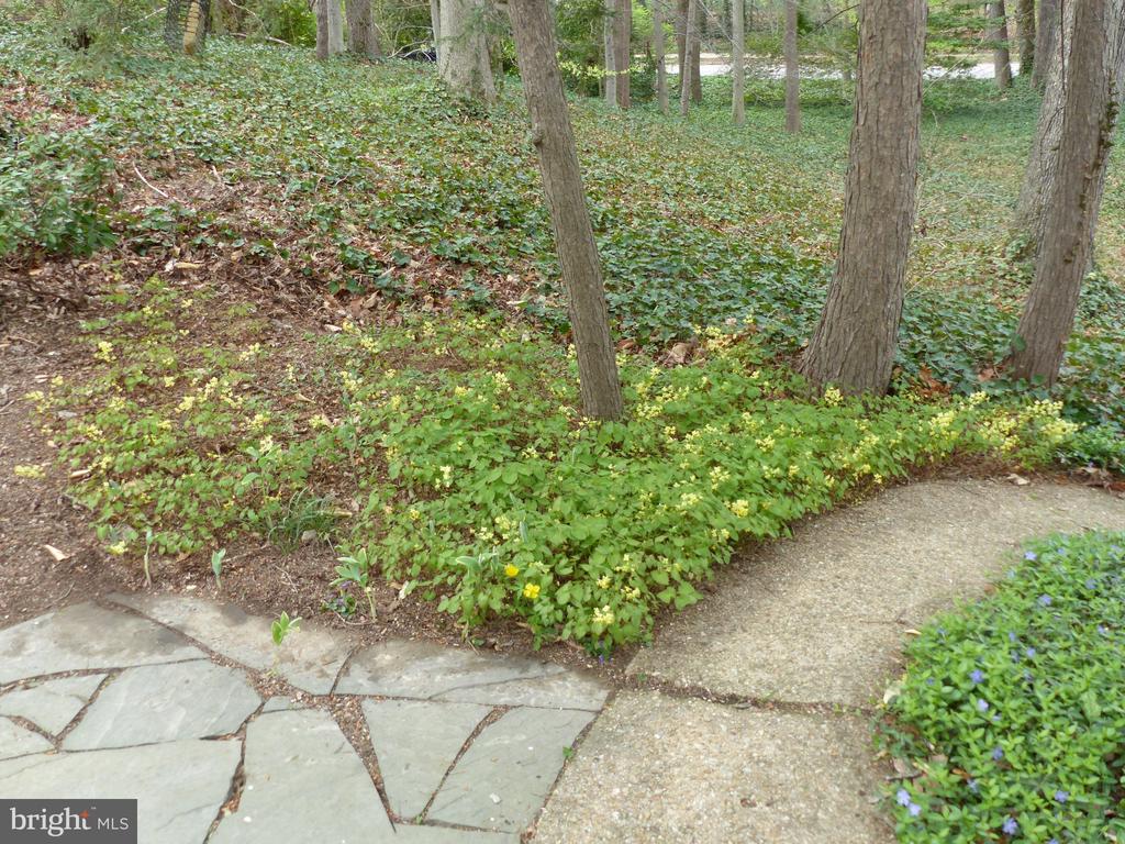 2205 PAUL SPRING ROAD