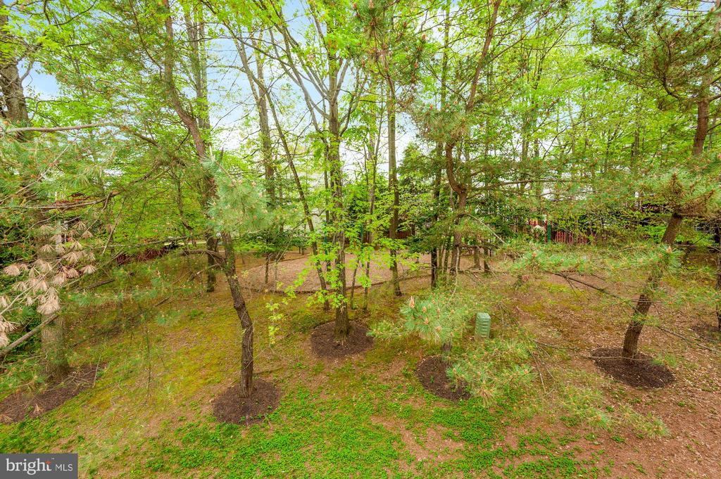 12489 LUCAS DRIVE