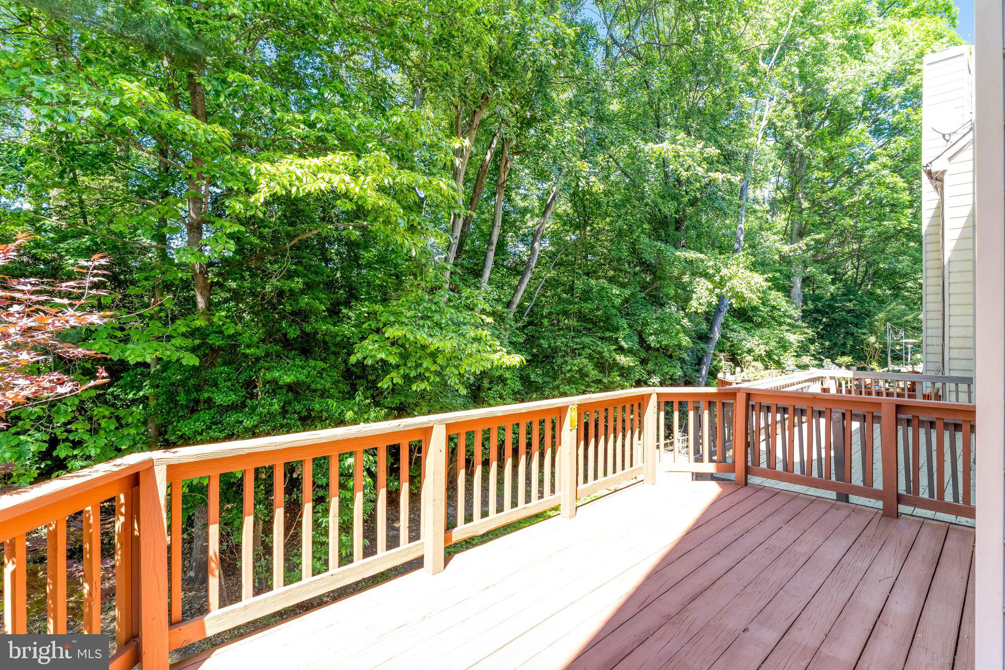 12498 SWEET LEAF TERRACE
