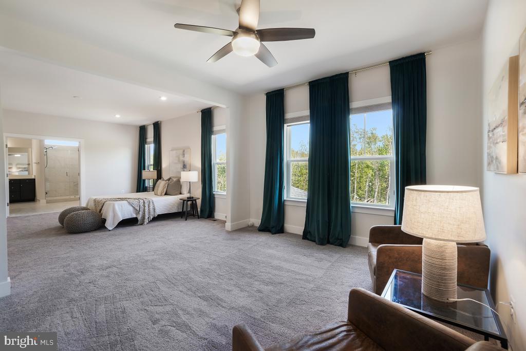 7374 SUGAR MAGNOLIA LOOP