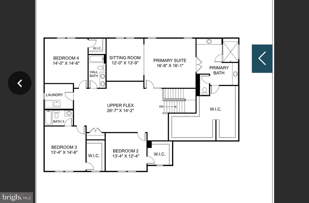 7374 SUGAR MAGNOLIA LOOP