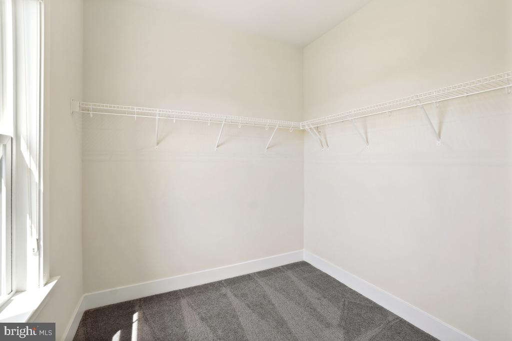7374 SUGAR MAGNOLIA LOOP