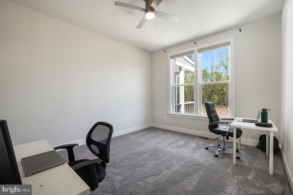 7374 SUGAR MAGNOLIA LOOP