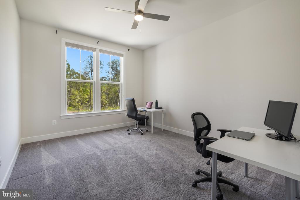 7374 SUGAR MAGNOLIA LOOP