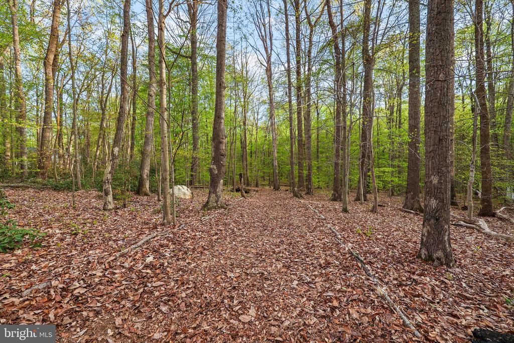12782 LOST CREEK COURT