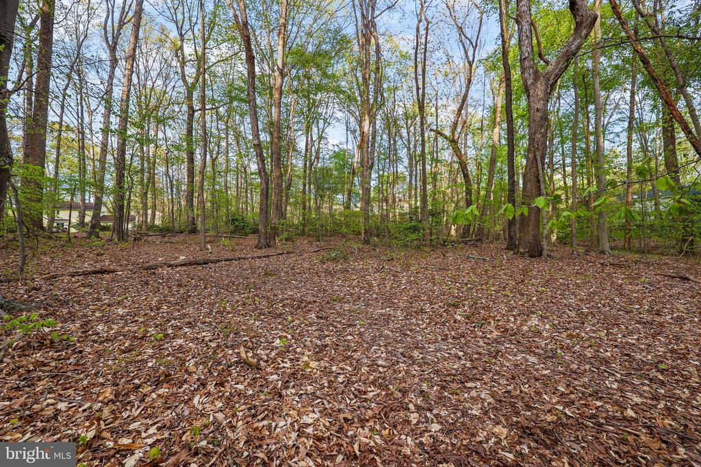12782 LOST CREEK COURT