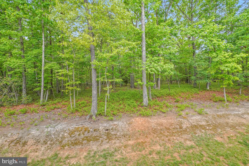 8524 LAROQUE RUN DRIVE
