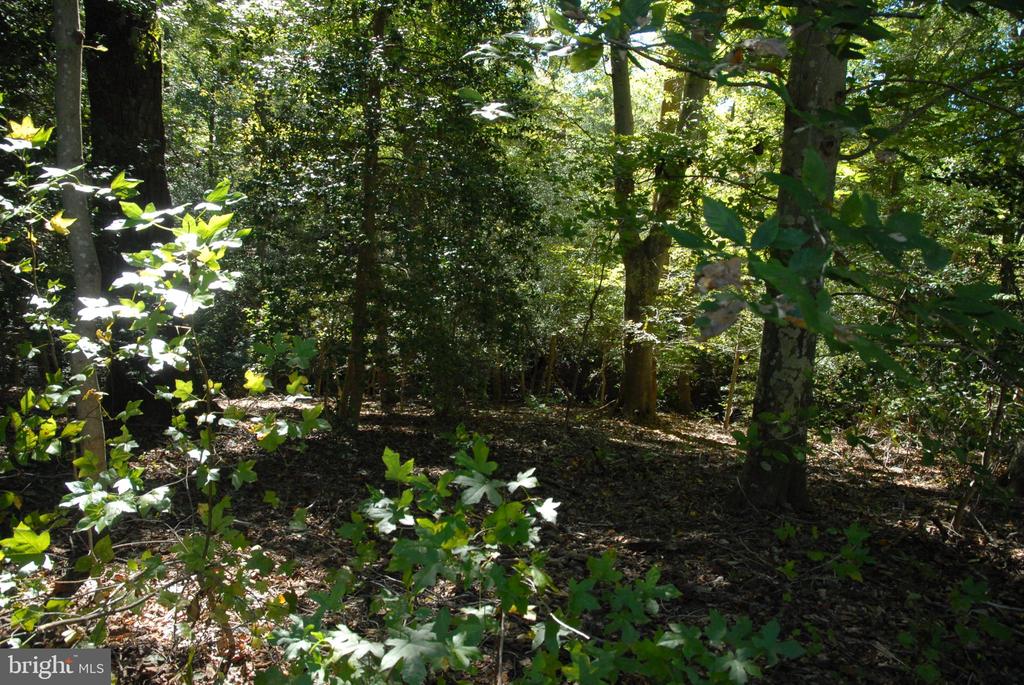 Lot 83 - COMMONS COURT