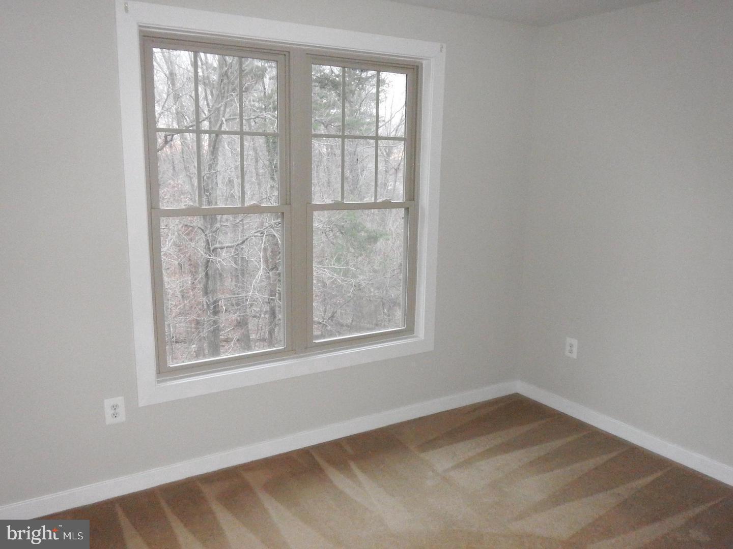 13316 SHEFFIELD MANOR DRIVE 15