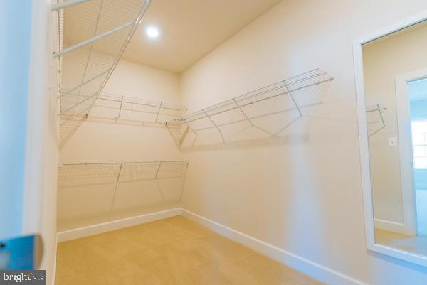 13807 WESTERLO COURT