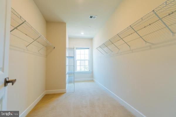 13807 WESTERLO COURT