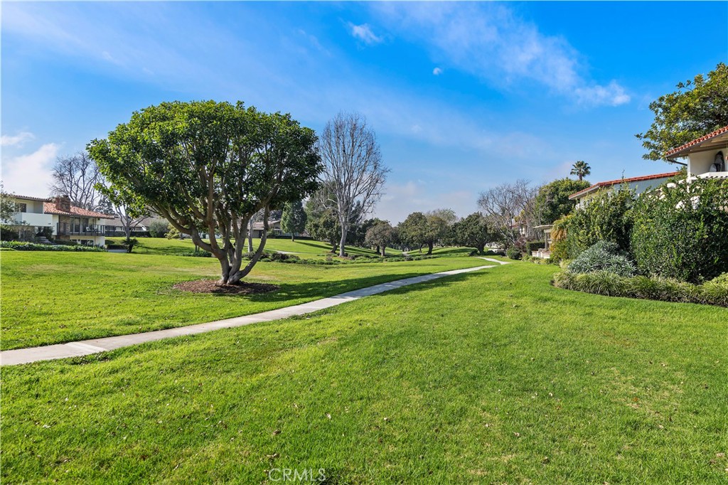 535 Vista Flora