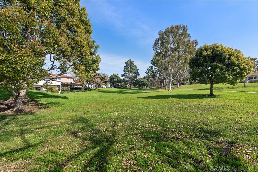 535 Vista Flora