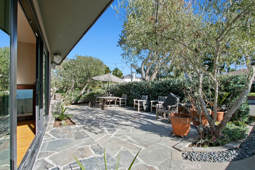 313 Larkspur