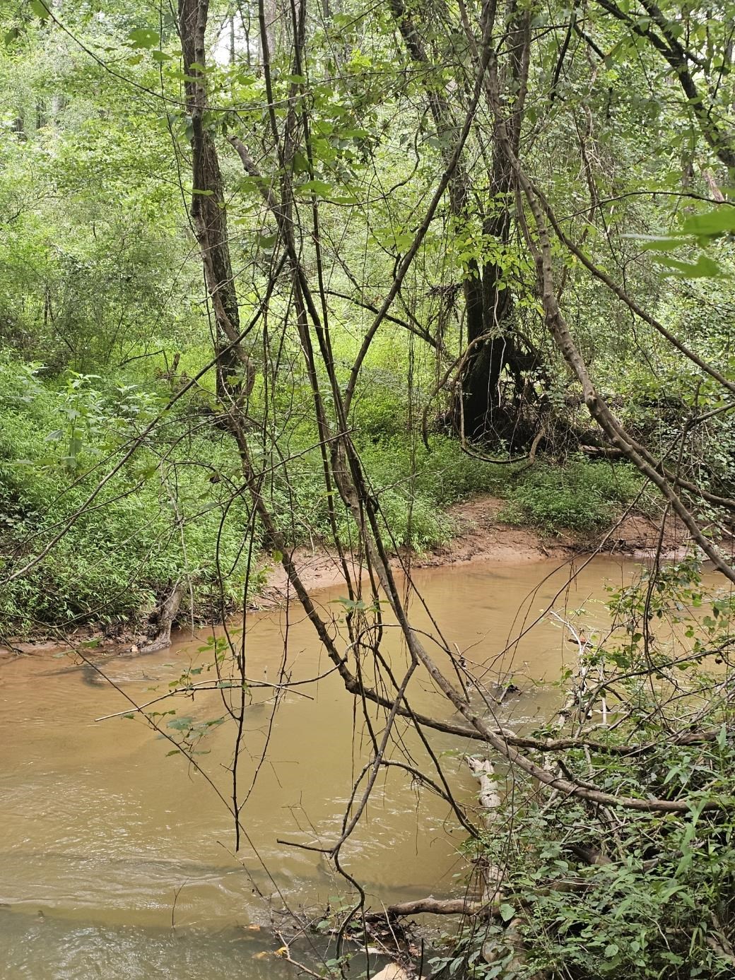 125 Forestview Drive