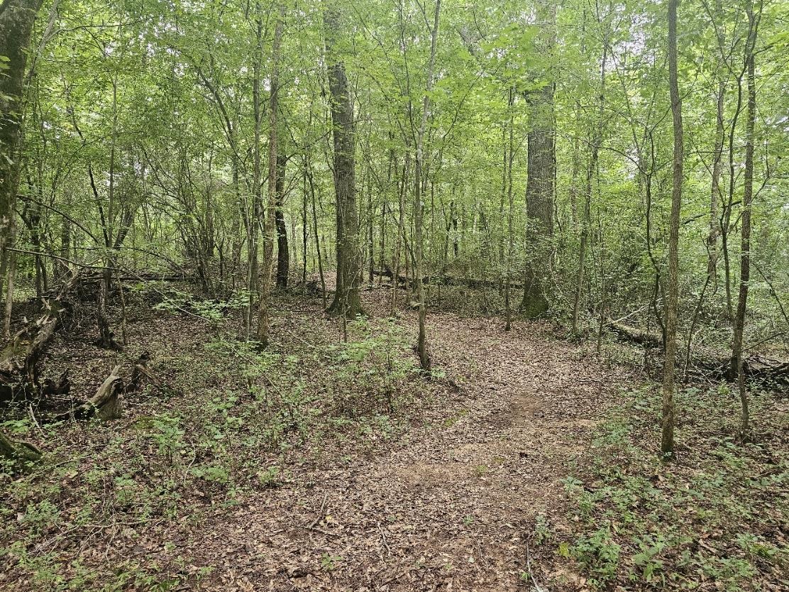 125 Forestview Drive