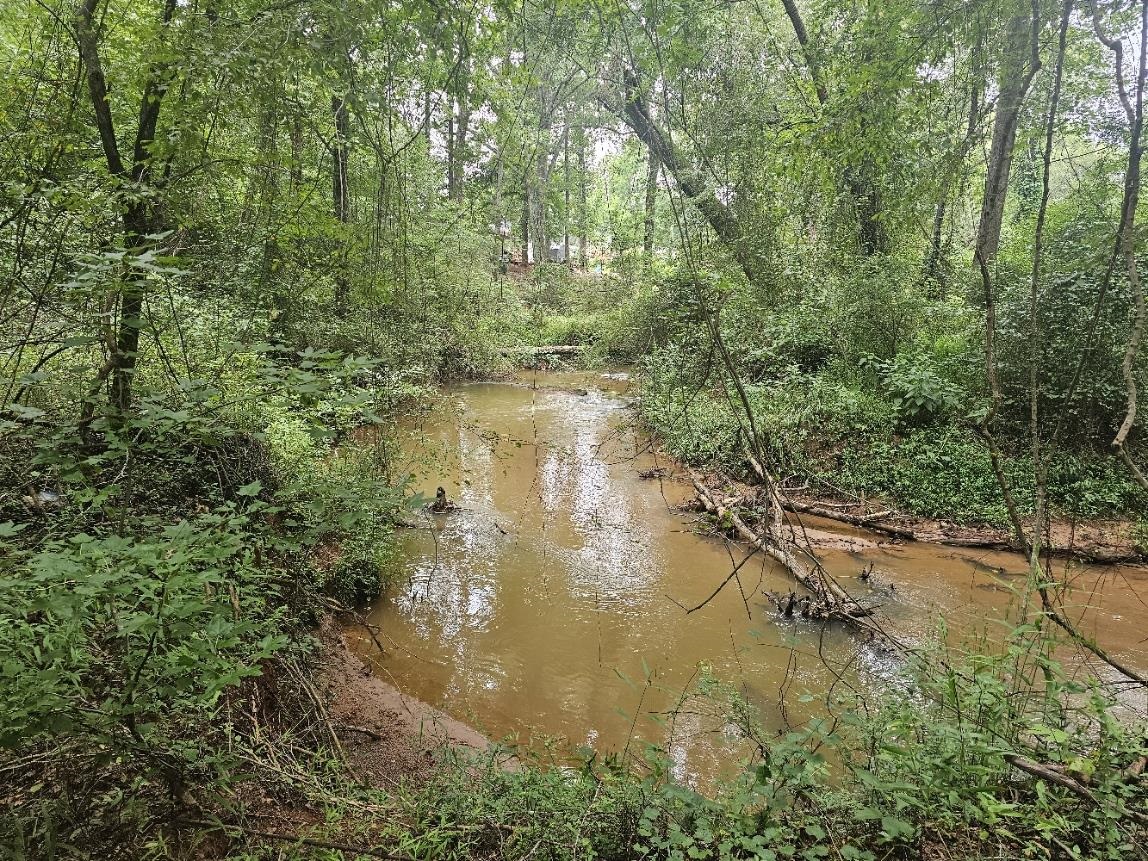125 Forestview Drive