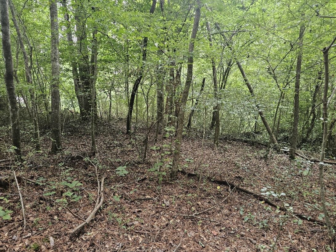 125 Forestview Drive