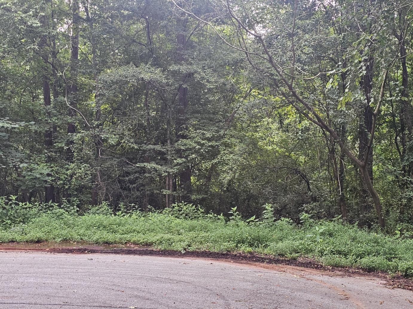 125 Forestview Drive