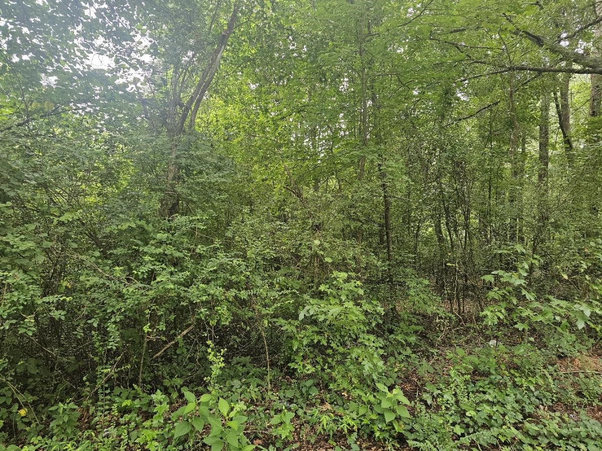 125 Forestview Drive