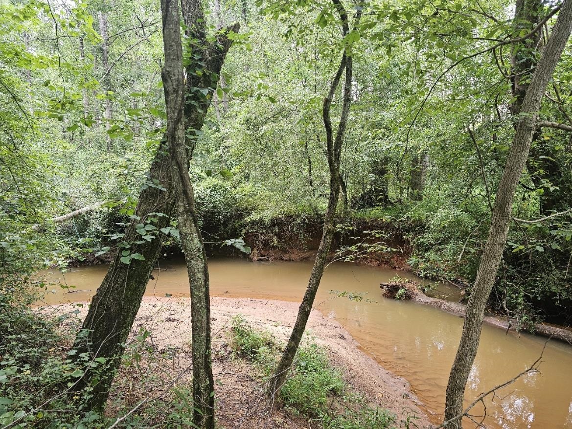 125 Forestview Drive