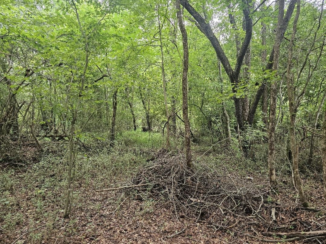 125 Forestview Drive