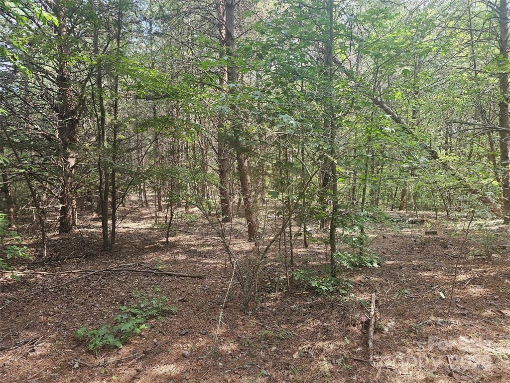 0 Green Creek Drive