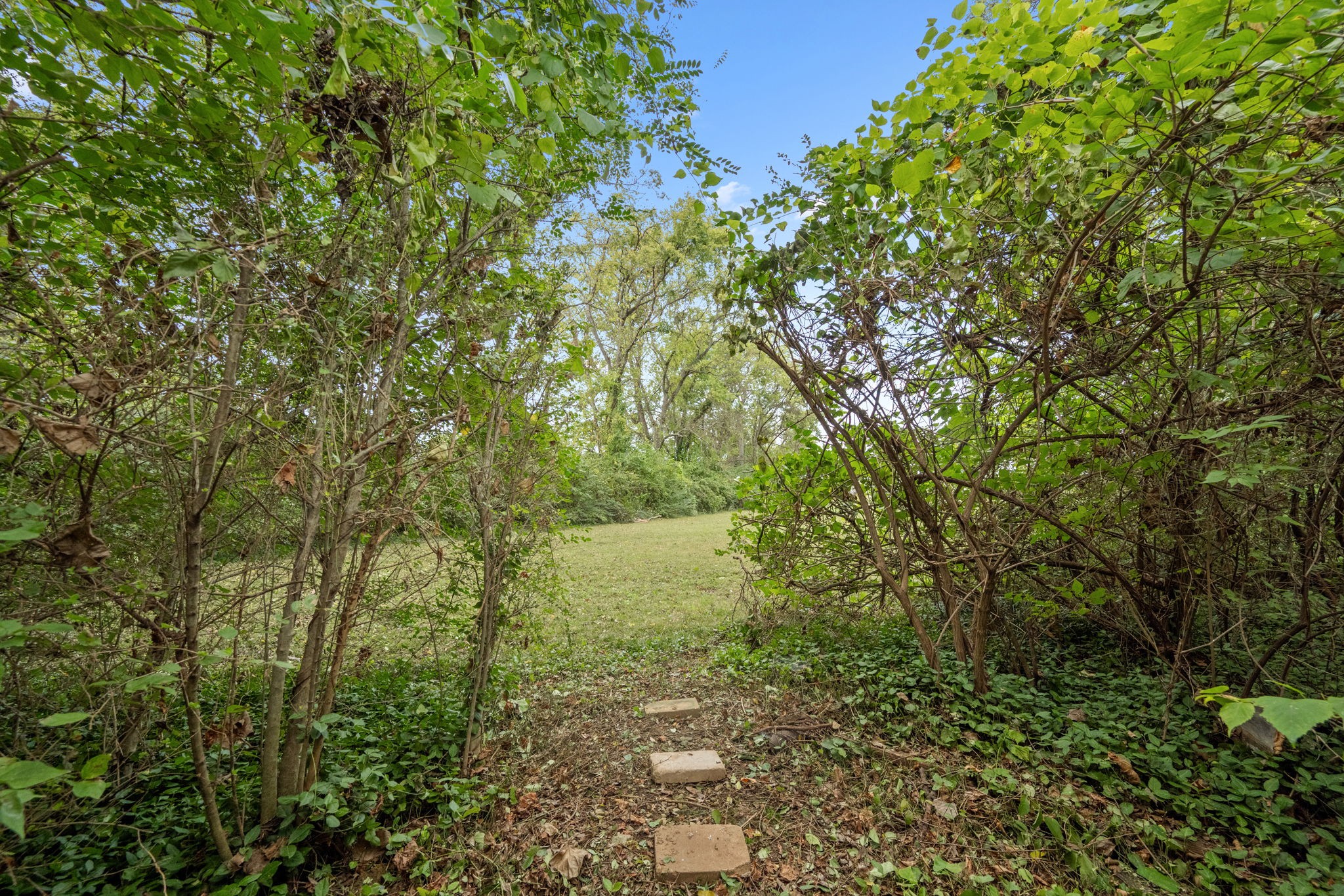 541 Eastboro Dr